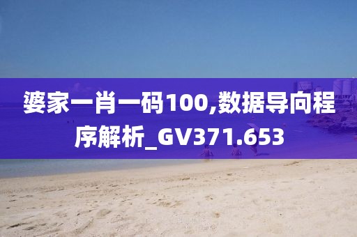 婆家一肖一码100,数据导向程序解析_GV371.653