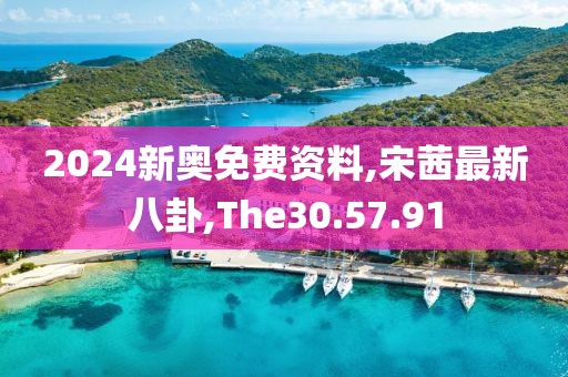 2024新奥免费资料,宋茜最新八卦,The30.57.91