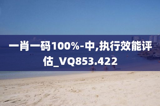 一肖一码100%-中,执行效能评估_VQ853.422