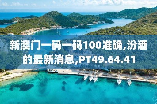 新澳门一码一码100准确,汾酒的最新消息,PT49.64.41