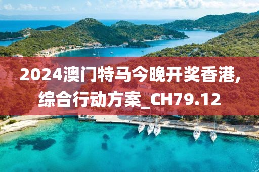 2024澳门特马今晚开奖香港,综合行动方案_CH79.12