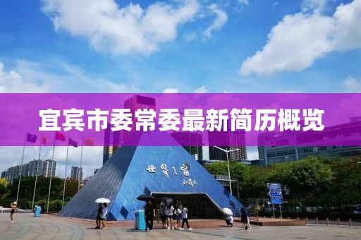 宜宾市委常委最新简历概览