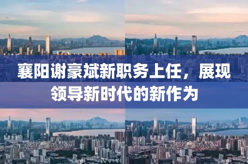 襄阳谢豪斌新职务上任，展现领导新时代的新作为