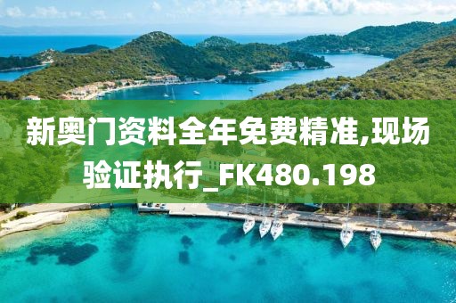 新奥门资料全年免费精准,现场验证执行_FK480.198