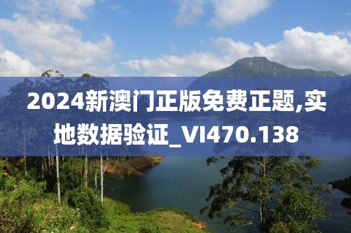 2024新澳门正版免费正题,实地数据验证_VI470.138