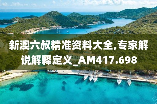 新澳六叔精准资料大全,专家解说解释定义_AM417.698