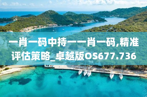 一肖一码中持一一肖一码,精准评估策略_卓越版OS677.736