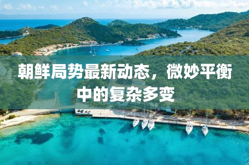 朝鲜局势最新动态，微妙平衡中的复杂多变