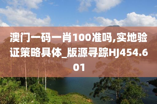澳门一码一肖100准吗,实地验证策略具体_版源寻踪HJ454.601