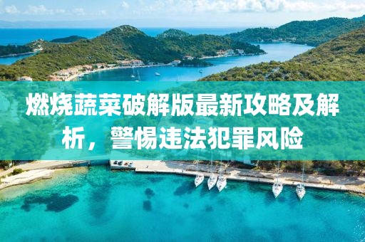 燃烧蔬菜破解版最新攻略及解析，警惕违法犯罪风险