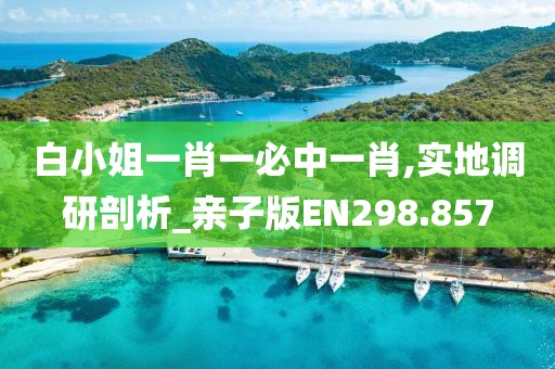 白小姐一肖一必中一肖,实地调研剖析_亲子版EN298.857
