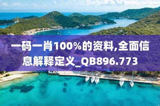 一码一肖100%的资料,全面信息解释定义_QB896.773