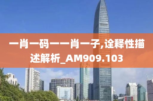 一肖一码一一肖一子,诠释性描述解析_AM909.103