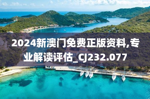 2024新澳门免费正版资料,专业解读评估_CJ232.077