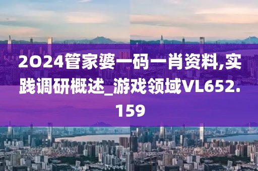 2O24管家婆一码一肖资料,实践调研概述_游戏领域VL652.159