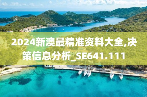 2024新澳最精准资料大全,决策信息分析_SE641.111