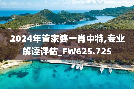 2024年管家婆一肖中特,专业解读评估_FW625.725