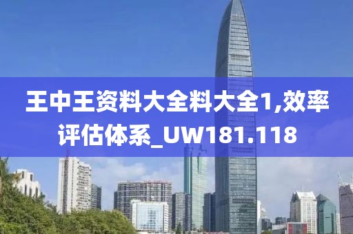 王中王资料大全料大全1,效率评估体系_UW181.118