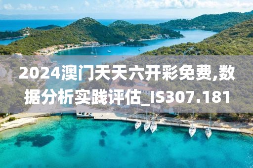 2024澳门天天六开彩免费,数据分析实践评估_IS307.181