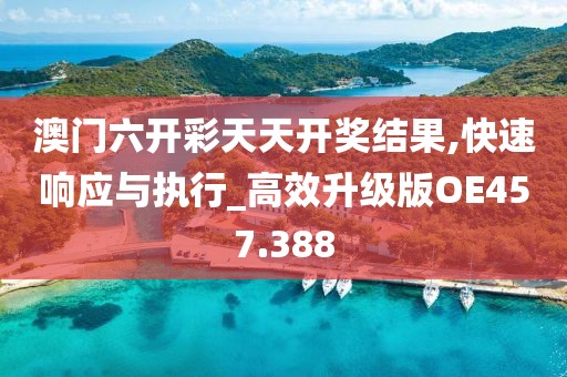 澳门六开彩天天开奖结果,快速响应与执行_高效升级版OE457.388