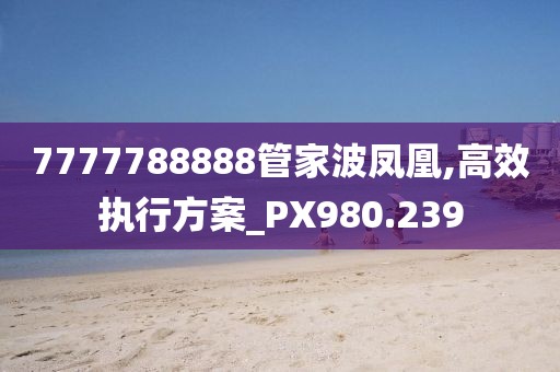 7777788888管家波凤凰,高效执行方案_PX980.239