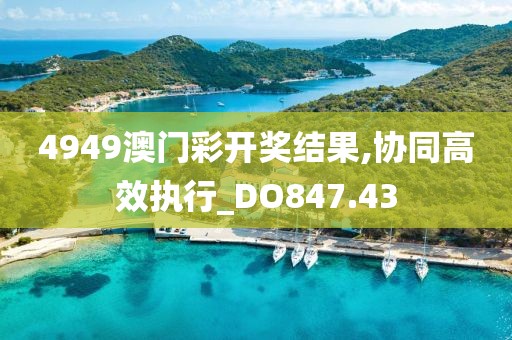 4949澳门彩开奖结果,协同高效执行_DO847.43