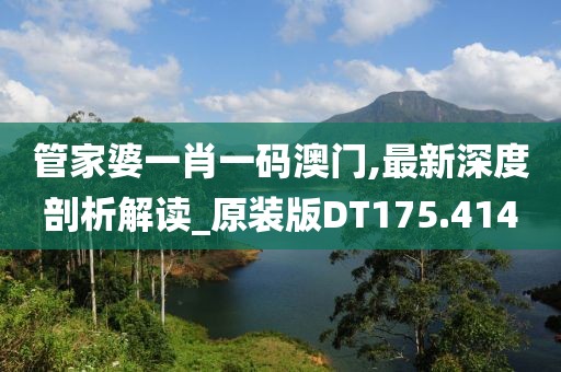 管家婆一肖一码澳门,最新深度剖析解读_原装版DT175.414
