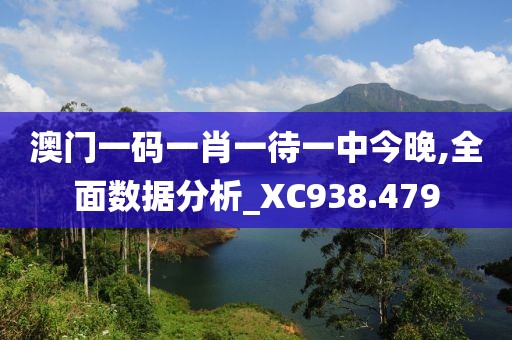澳门一码一肖一待一中今晚,全面数据分析_XC938.479