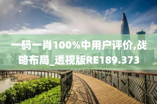 一码一肖100%中用户评价,战略布局_透视版RE189.373