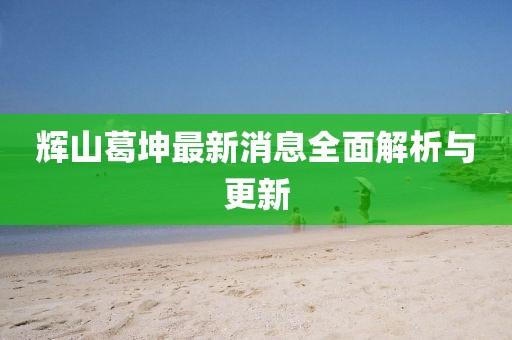 辉山葛坤最新消息全面解析与更新