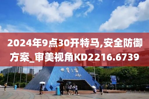 2024年9点30开特马,安全防御方案_审美视角KD2216.6739