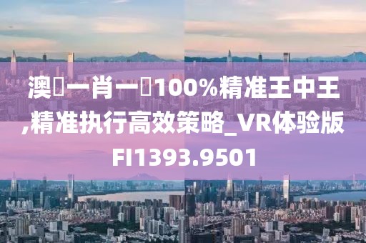 澳門一肖一碼100%精准王中王,精准执行高效策略_VR体验版FI1393.9501