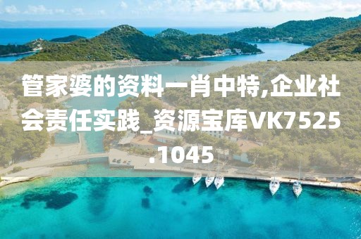管家婆的资料一肖中特,企业社会责任实践_资源宝库VK7525.1045