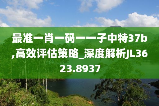 最准一肖一码一一子中特37b,高效评估策略_深度解析JL3623.8937