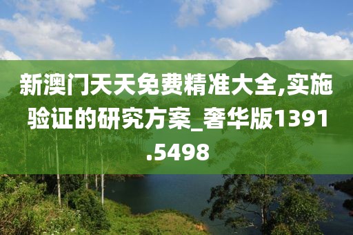 新澳门天天免费精准大全,实施验证的研究方案_奢华版1391.5498