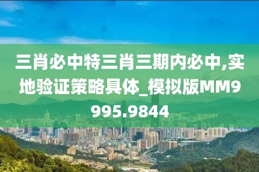 三肖必中特三肖三期内必中,实地验证策略具体_模拟版MM9995.9844