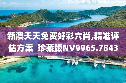 新澳天天免费好彩六肖,精准评估方案_珍藏版NV9965.7843