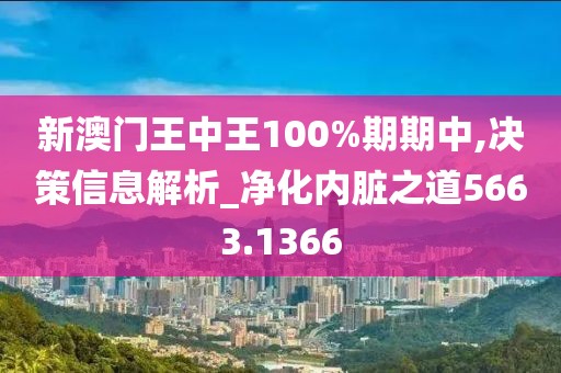 新澳门王中王100%期期中,决策信息解析_净化内脏之道5663.1366