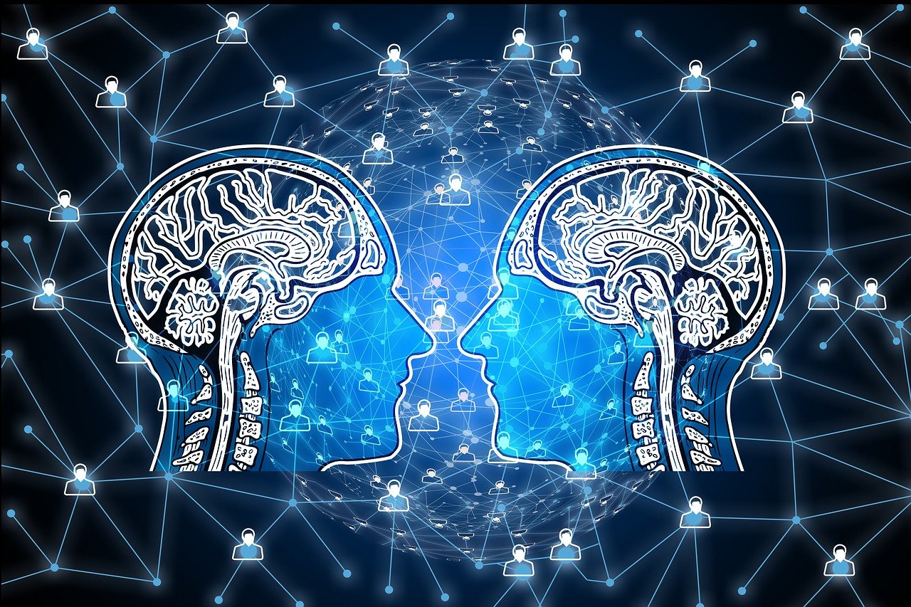 薄启亮最新动态揭秘，多重身份与最新消息涉政解读。