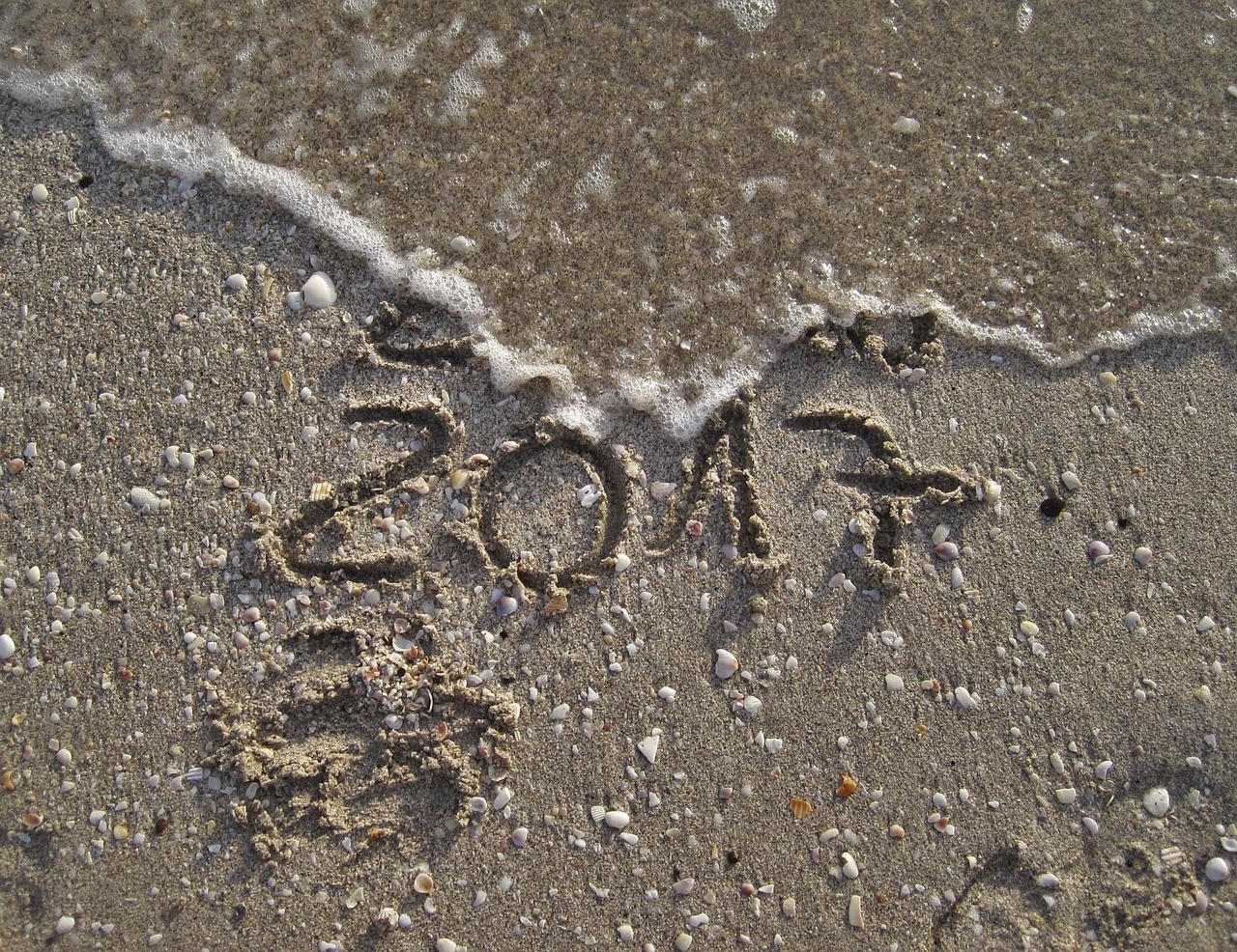 毕津浩最新动态，2017年概览