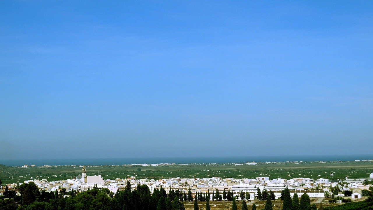 五月尼龙材质最新价格及分析，市场动态报告