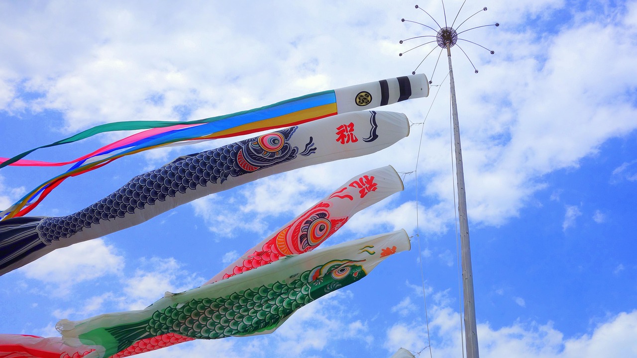 五月新篇章，探索旗鱼影视新版下载的魅力